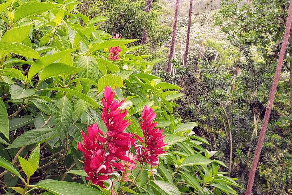 Villa Jarabacoa